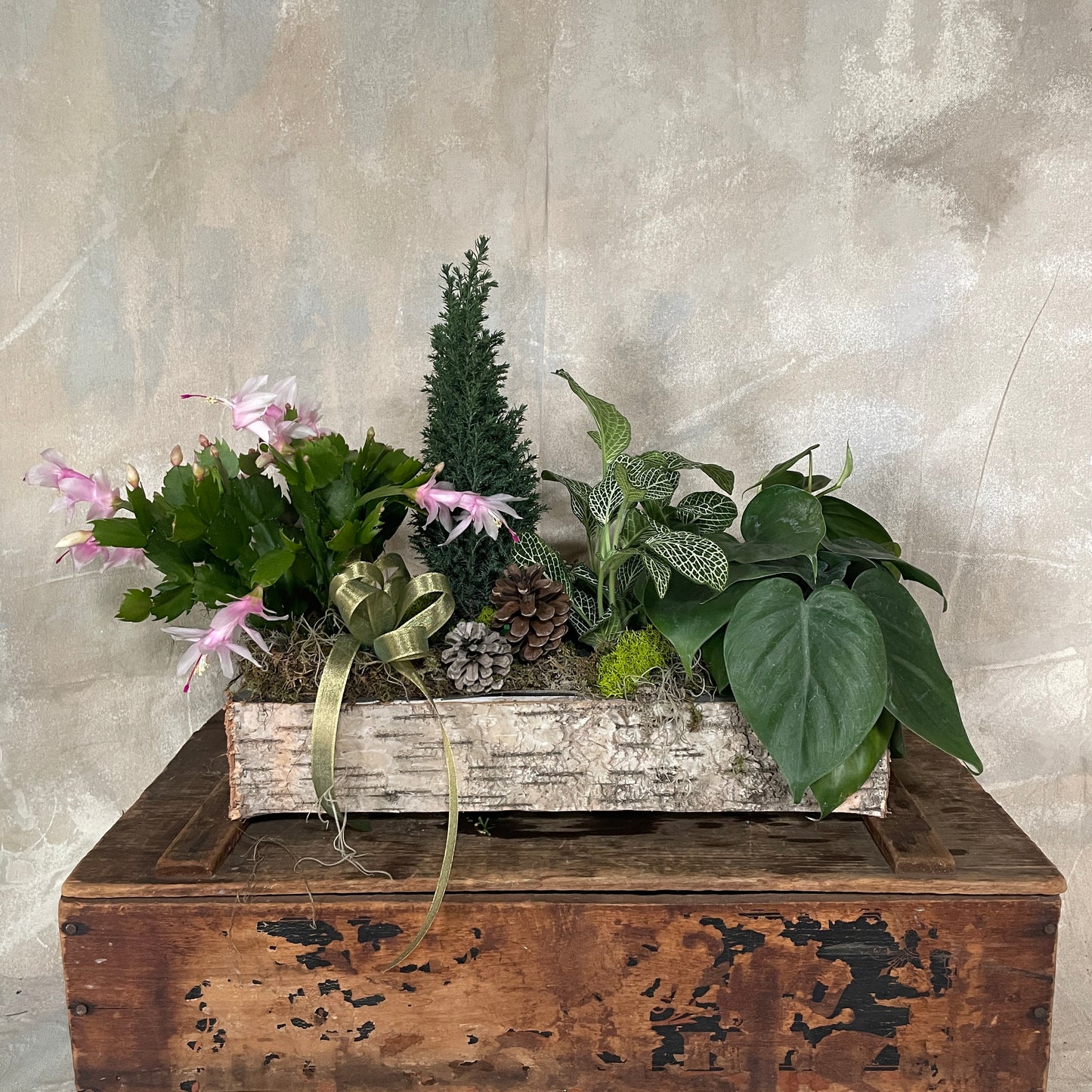 Winter Birch Planter