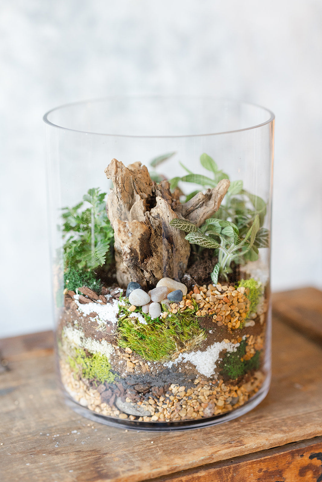 Terrarium
