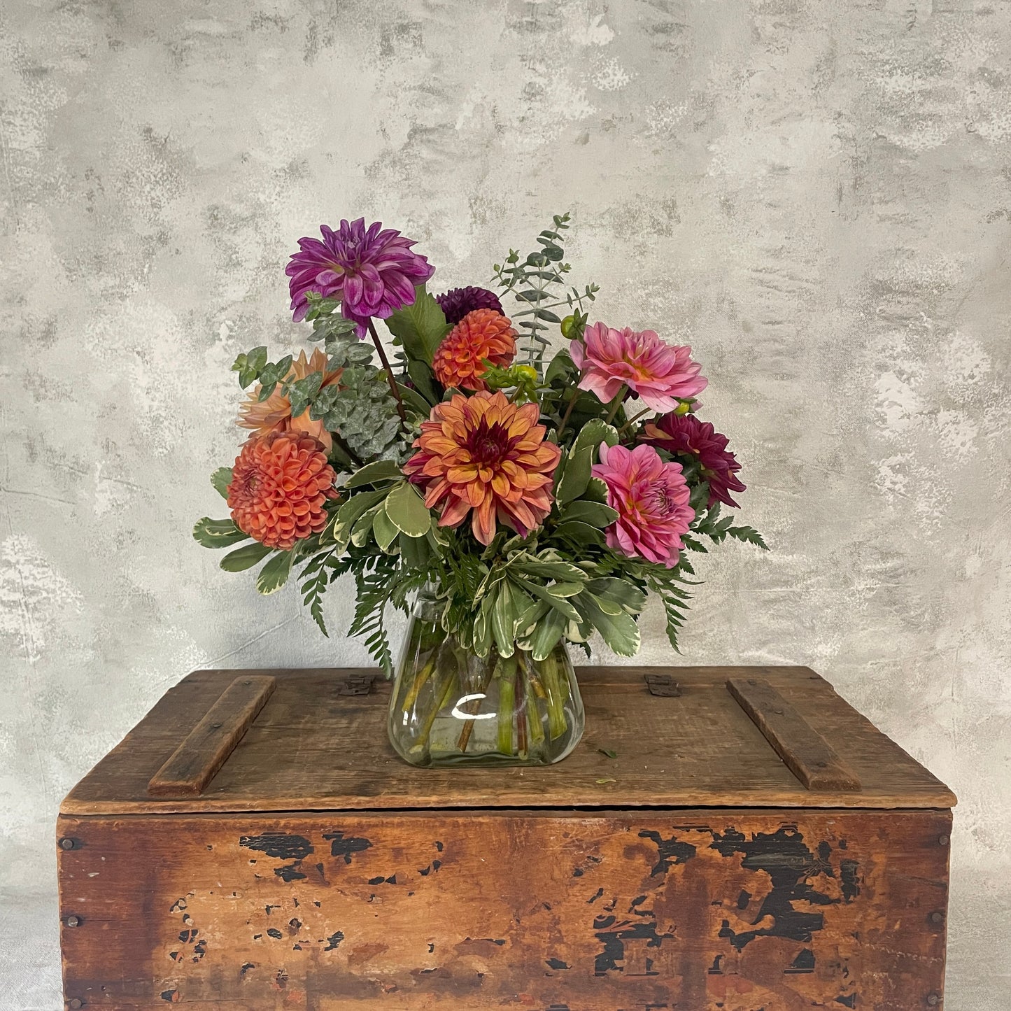 Dahlia Special