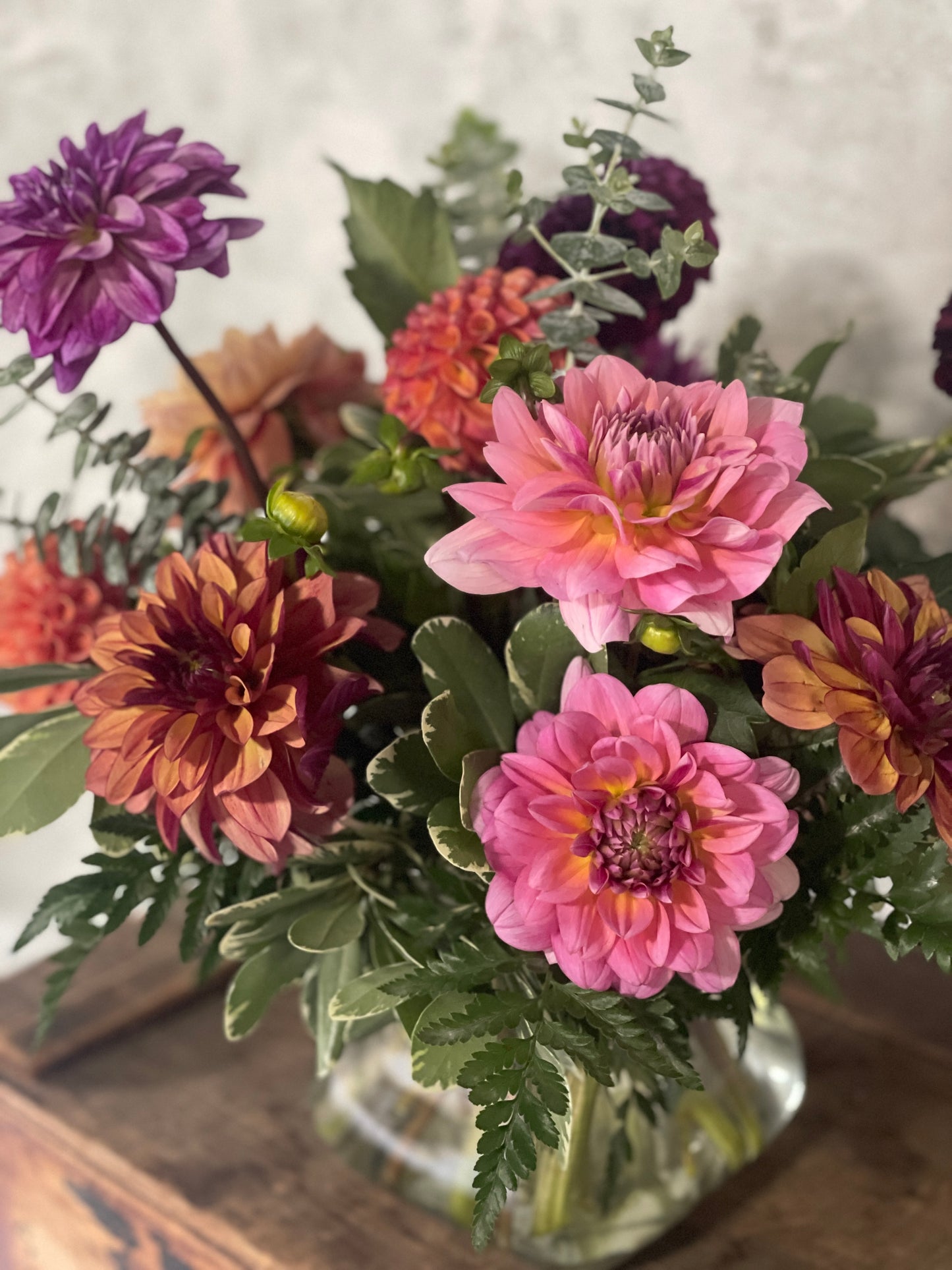 Dahlia Special