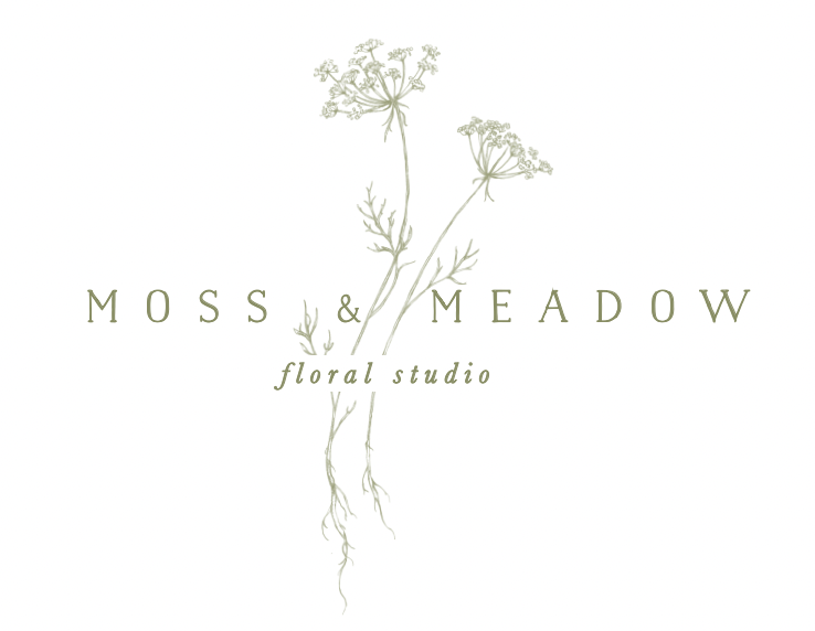 Houseplant Subscription | 3 Month