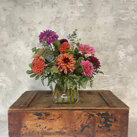 Dahlia Special