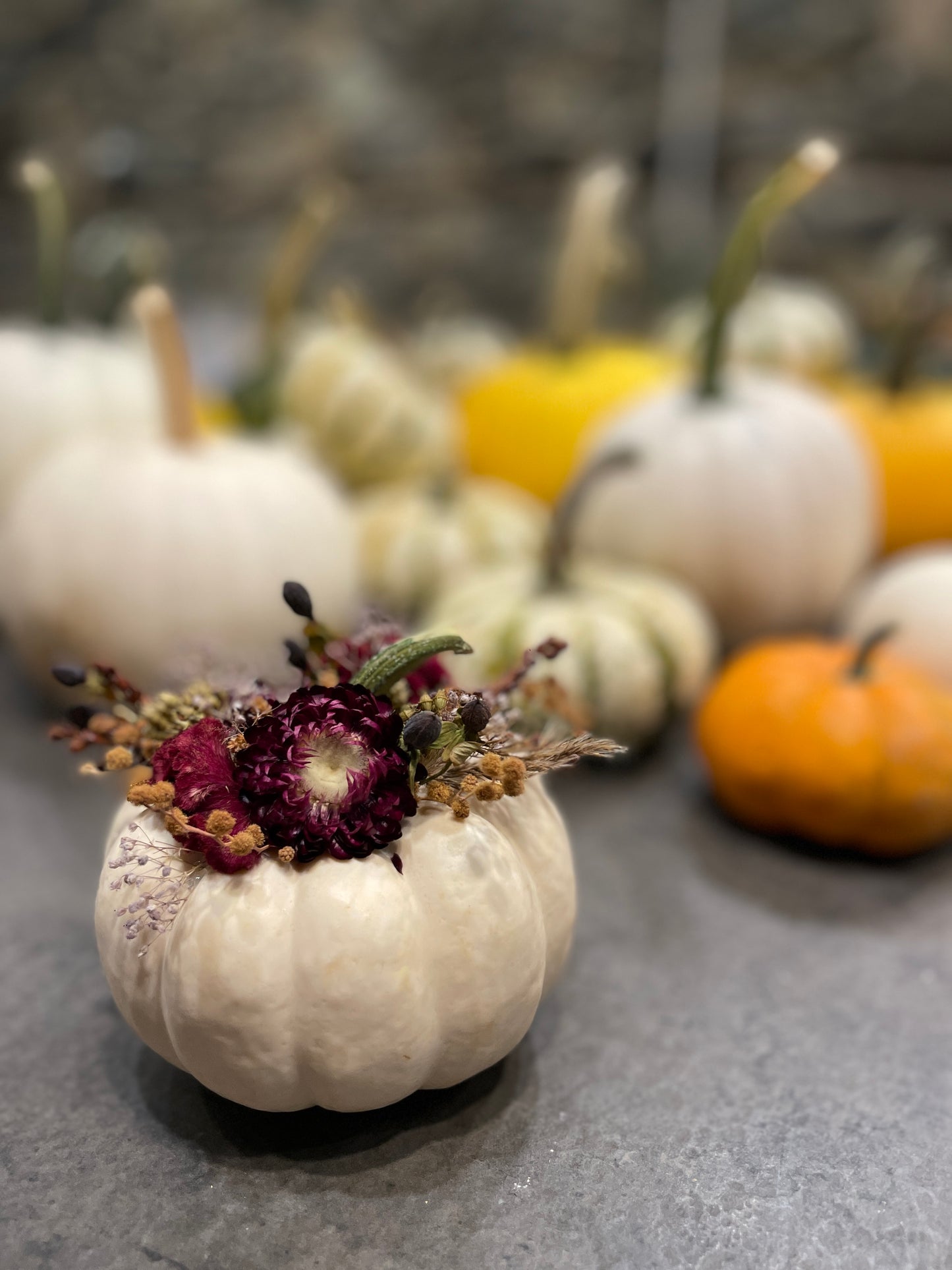 10.08.25 | Pumpkin Decorating